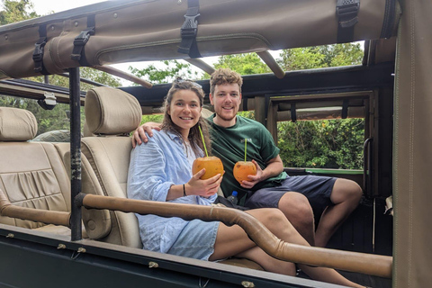 Sigiriya: Minneriya Safari, Yapahuwa Rock & Colombo Drop-off Sigiriya: Minneriya Safari, Yapahuwa Rock & Negombo Drop-off