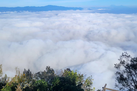 USAMBARA: 4-dagars vandringstur i Usambara-bergen