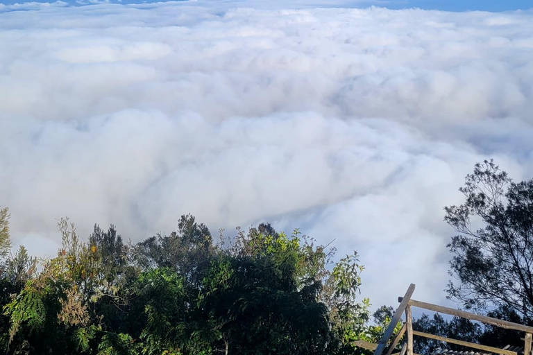 USAMBARA: 4-dagars vandringstur i Usambara-bergen