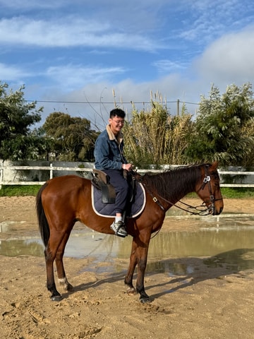 From Lisbon: Amazing Horseback Ride with a Guide