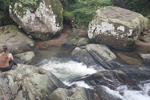 ELLA Lipton Seat Tea Test & Pluck 9Arch, Waterfalls, & Food Lipton's Seat, Little Adam Peak, 9 Arch, Ravana Waterfalls