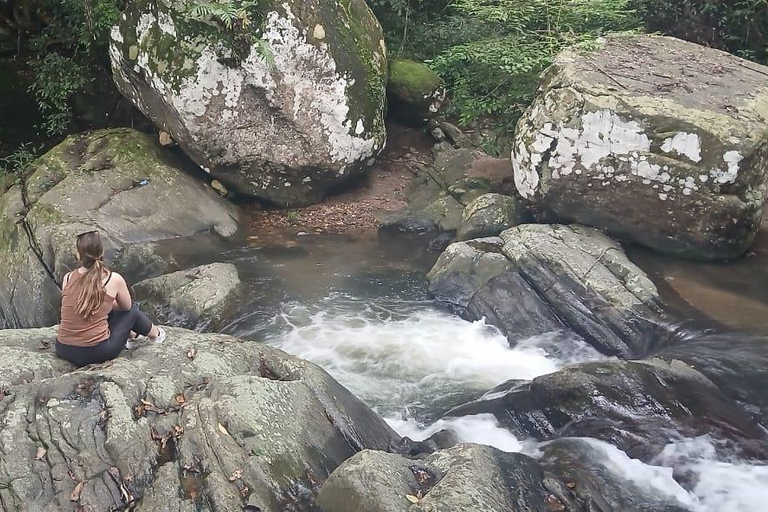 ELLA Lipton Seat Tea Test & Pluck 9Arch, Waterfalls, & Food Lipton's Seat, Little Adam Peak, 9 Arch, Ravana Waterfalls