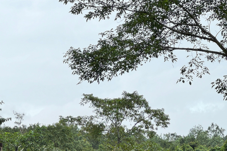 Santuario de My Son y Senderismo de Montaña - PeregrinaciónMi hijo Santuario Viaje de madrugada