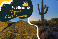 Tucson, Mt Lemmon & Saguaro NP Self-Guided Bundle Tour - Hizvo
