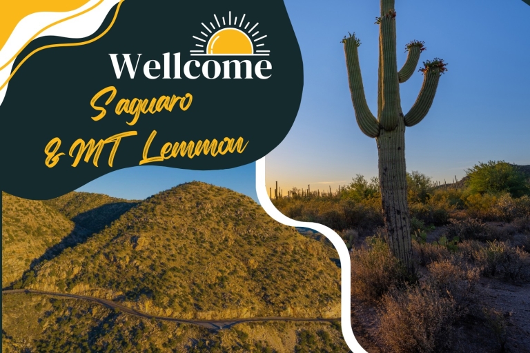 Tucson: Mt Lemmon & Saguaro NP Self-Guided Bundle Tour