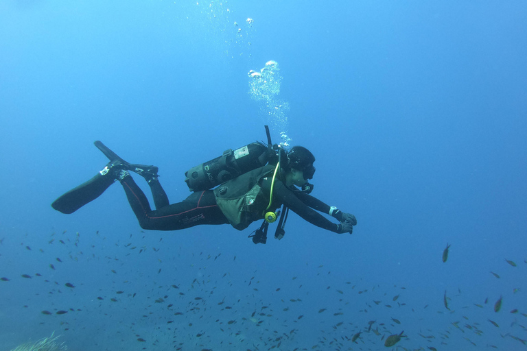 Malta: 2 Scuba Fun Dives for Certified divers