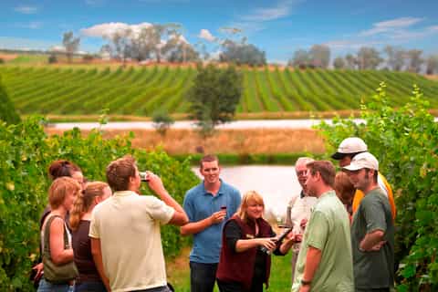 Excursão de Vinhos de 1 Dia no Vale do Yarra com Almoço