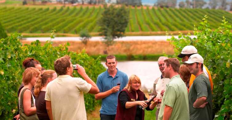 Melbourne: Full-Day Yarra Valley Wine Experience with Lunch | GetYourGuide