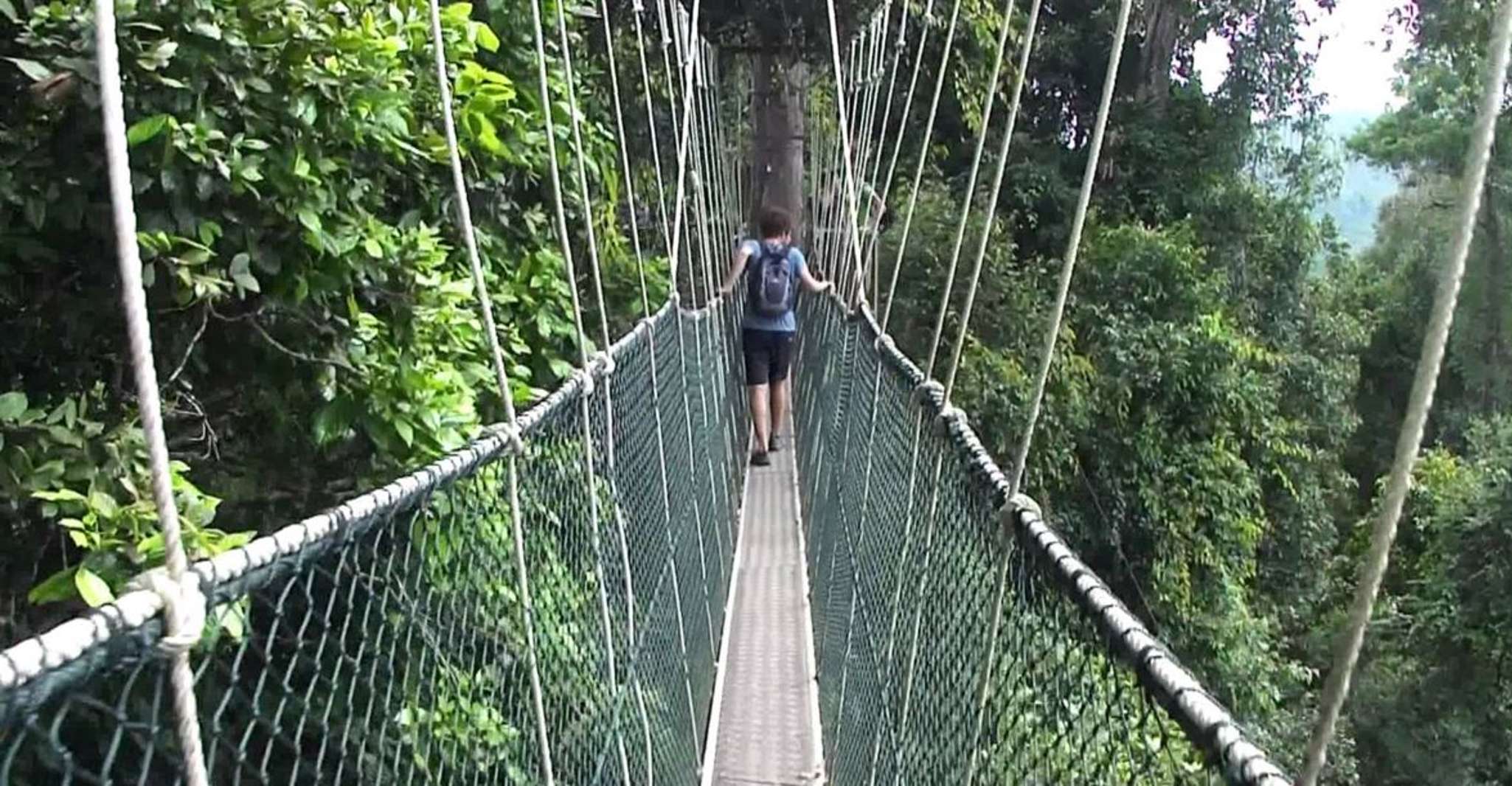 Da Kuala Lumpur, tour di una giornata intera a Taman Negara - Hizvo