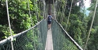 De Kuala Lumpur, Excursión de un día completo a Taman Negara - Hizvo