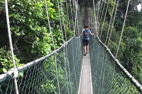 Ab Kuala Lumpur: Private Tagestour nach Taman Negara