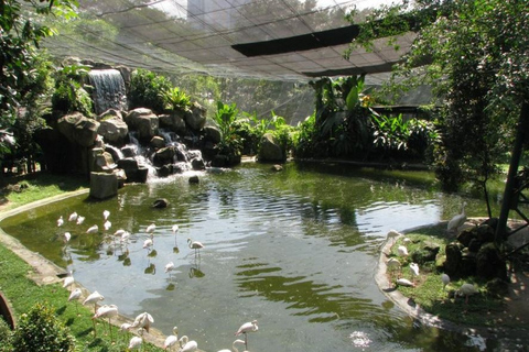 Kuala Lumpur: Bird Park, Butterfly &amp; Garden Private Tour