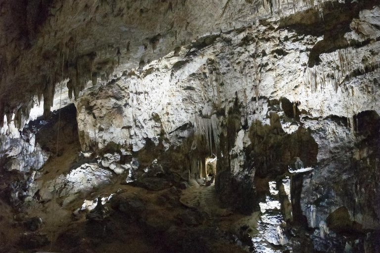 布拉索夫城市观光、拉斯诺夫城堡与瓦莱亚塞塔蒂洞穴布拉索夫城市观光、拉斯诺夫城堡及瓦莱亚塞塔蒂洞穴