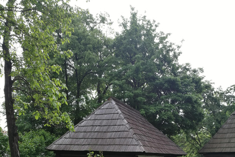 Bucarest : Visite guidée du musée du village