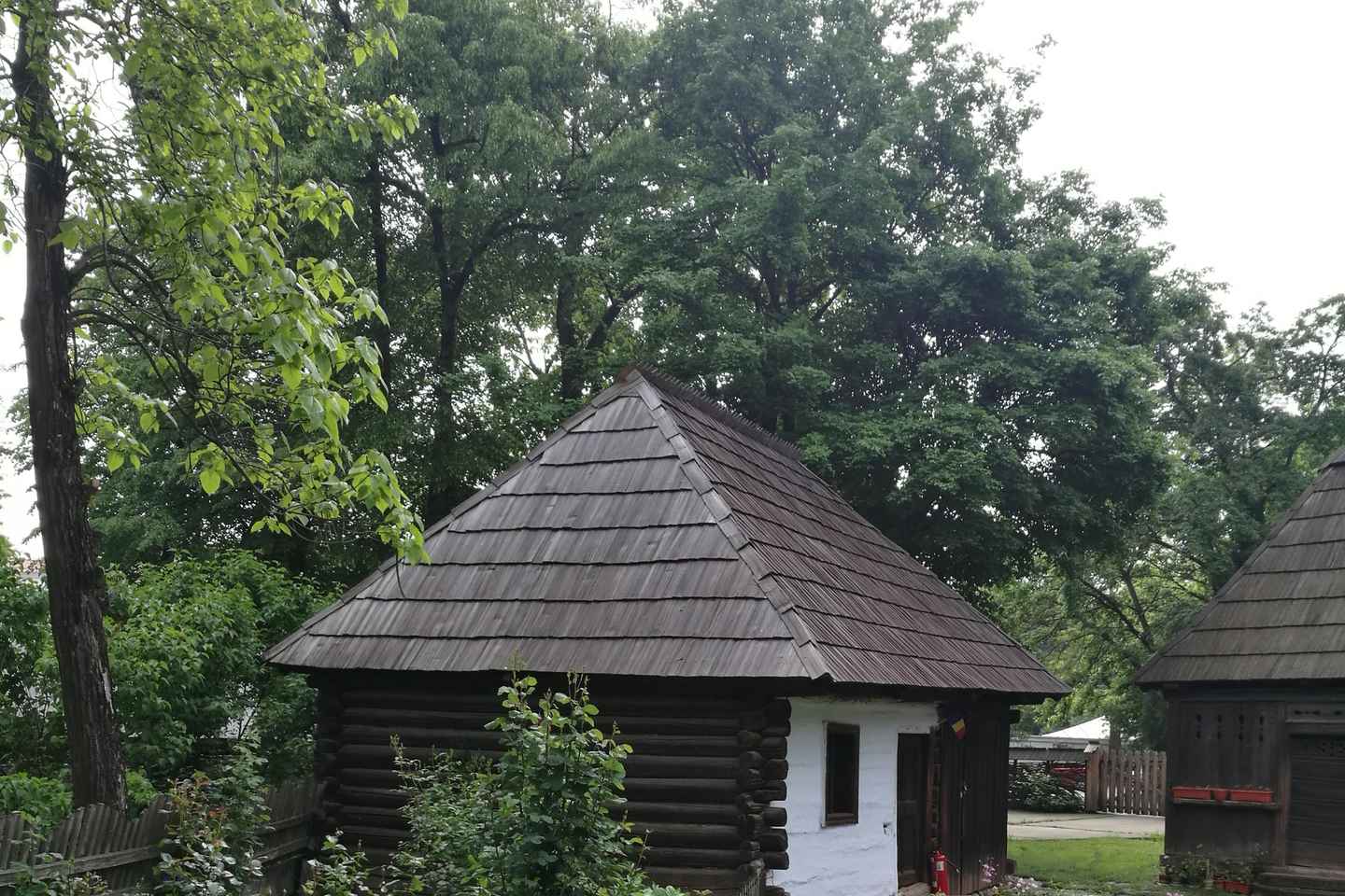 Bucharest: Village Museum Guided Tour