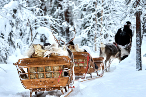 Levi: Reindeer Sleigh Ride 1.5km In Magical Forest