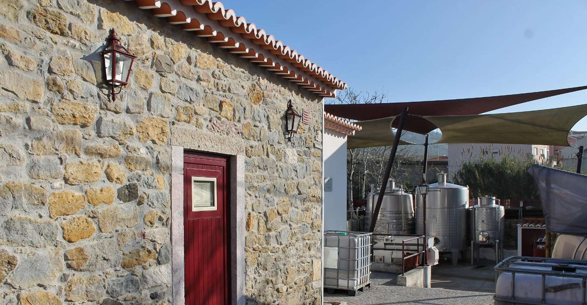 Tour degustazione vini Cheleiros e Bucelas da Lisbona - Hizvo