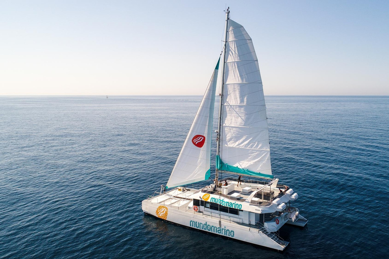 Malaga: Catamaran Sailing Trip with Sunset OptionSunset with Glass of Cava