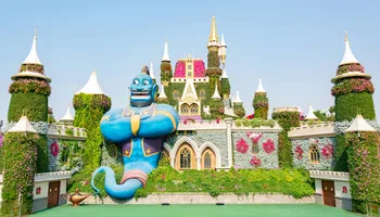 Floral Extravaganza: A Day Trip to Dubai's Stunning Miracle Garden - History and Creation of Dubai Miracle Garden