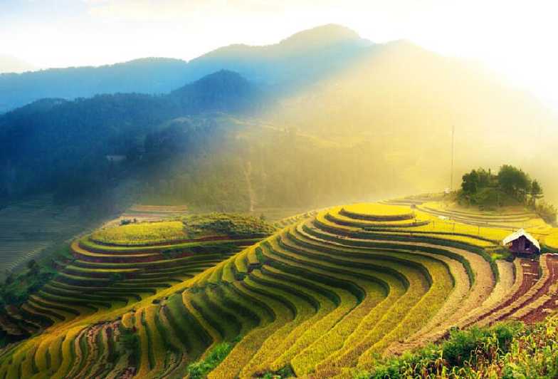 Guilin Private Tour of Dragon's Backbone Rice Terraces