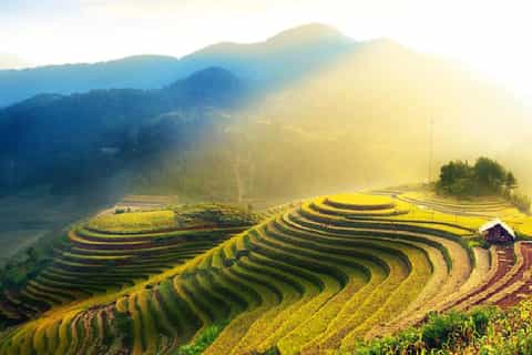 Guilin Private Tour of Dragon's Backbone Rice Terraces