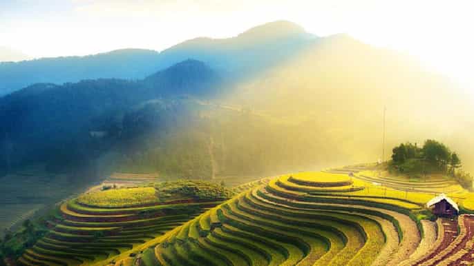 guilin private tour of dragons backbone rice terraces
