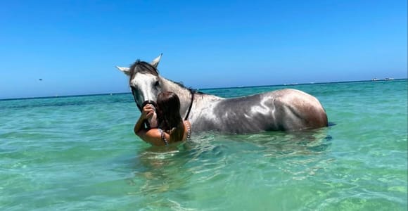 Djerba: Swimming on horse in the crystal-clear waters