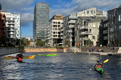 2 heures de kayak de mer à Oslo