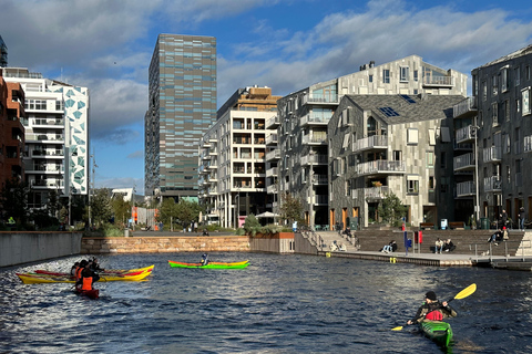 2 heures de kayak de mer à Oslo