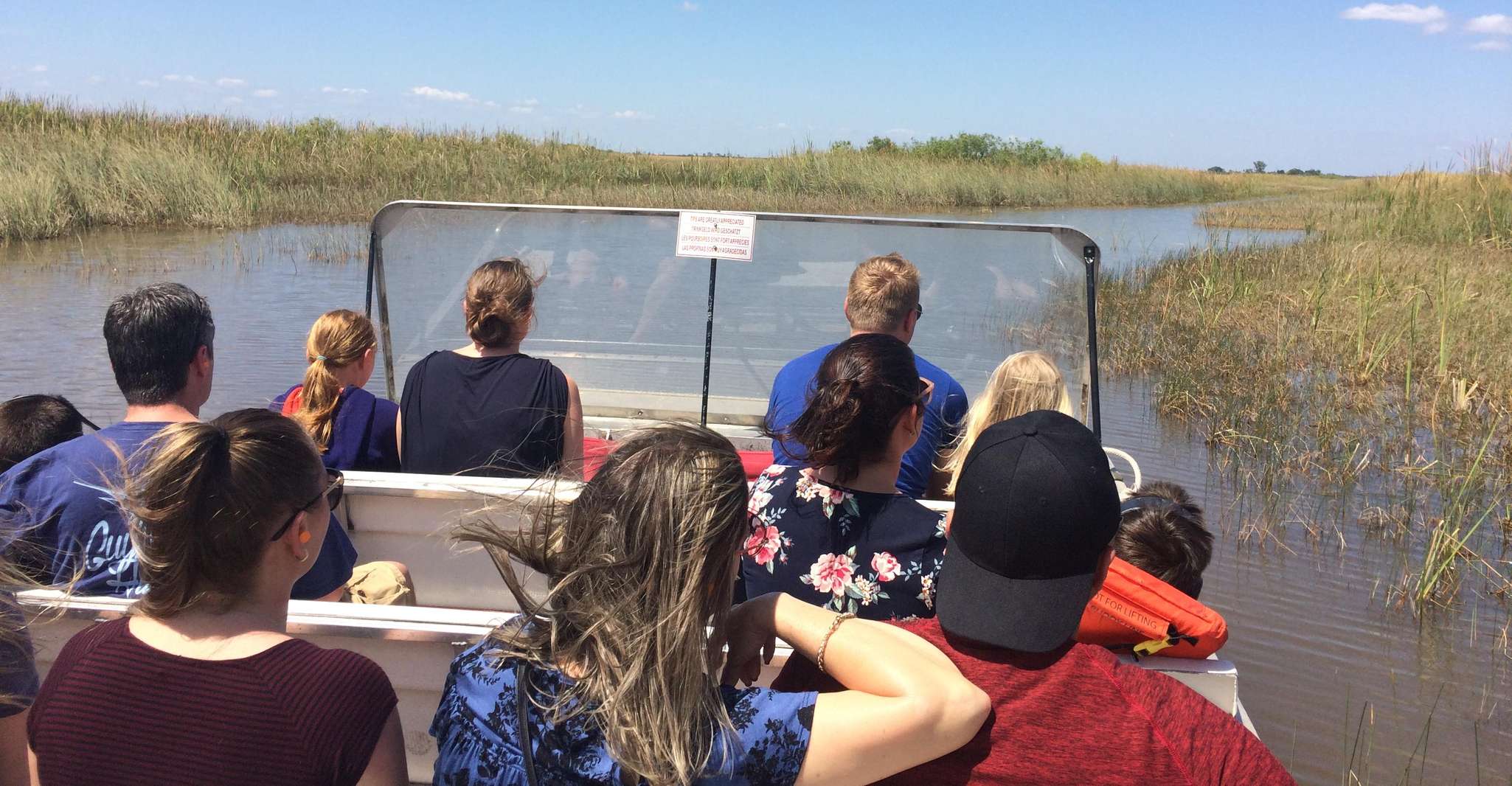 From Miami: Everglades Airboat Gator Spotting Tour photo 11