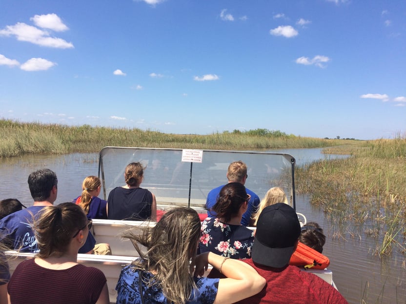 Miami: Experiencia en hidrodeslizador, fotos y caimanes en los Everglades