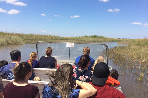 South Beach: Everglades Wildlife Airboat TourMorgonrundtur (kl. 9.00)