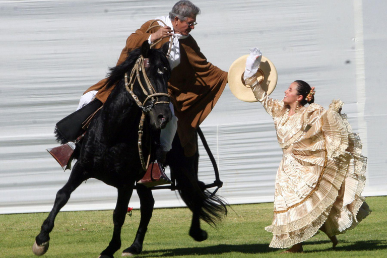 Desde Trujillo | Espectáculo de Marinera con caballos peruanos de paso