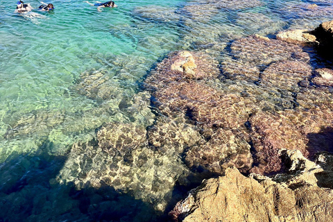 From Barcelona: Costa Brava Kayak & Snorkel Tour with Picnic From Barcelona: Costa Brava Kayaking and Snorkeling Day Trip