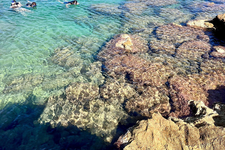 From Barcelona: Costa Brava Kayak & Snorkel Tour with Picnic From Barcelona: Costa Brava Kayaking and Snorkeling Day Trip