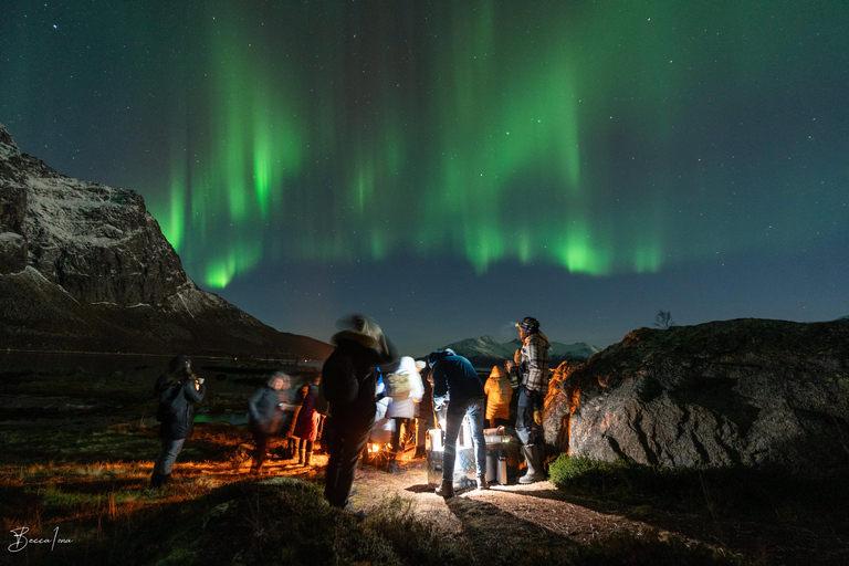 Tromsø | The OFFICIAL Northern Lights Safari Company