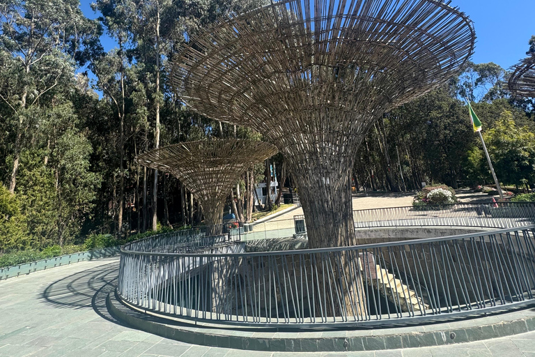 Addis Ababa: Sunrise Coffee Ritual & Hidden Villages Tour