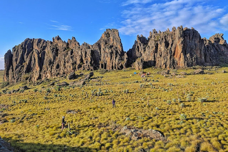 内罗毕：3日阿伯达雷国家公园经济型Safari内罗毕：3天阿伯达雷国家公园经济型Safari之旅
