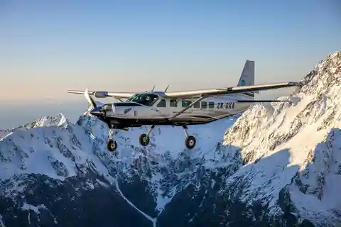 From Queenstown: Milford Sound Flight and Nature Cruise