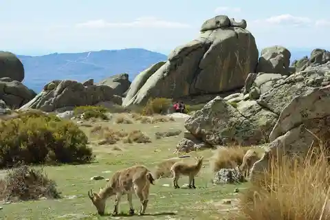 Desde Madrid: excursión de un día a la Sierra de Guadarrama