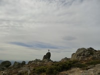Desde Madrid, Sierra de Guadarrama Tria del día de senderismo - Housity