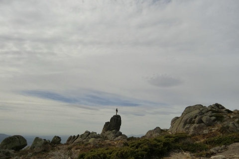 Depuis Madrid : randonnée d'une journée dans la Sierra de Guadarrama