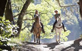 From San Gimignano: Horseback Riding in Tuscany