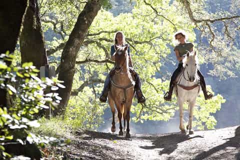 From San Gimignano: Horseback Riding in Tuscany
