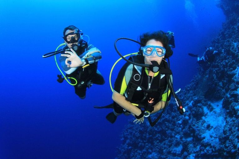 Scuba Diving Tour from Marmaris and Icmeler 1-Day Diving Tour in Marmaris