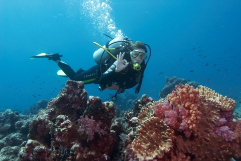 De Marmaris et Icmeler : excursion plongée sous-marineMarmaris : excursion plongée sous-marine d’une journée