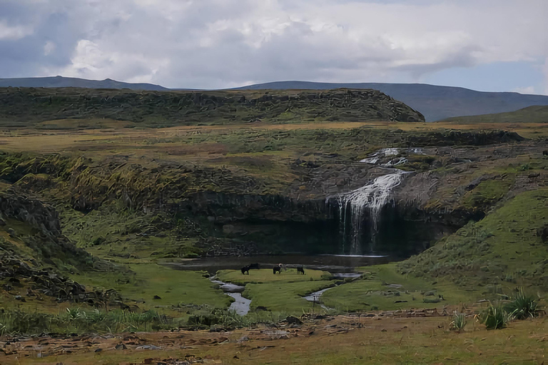 5-dniowa wycieczka do Parku Narodowego Bale i gór