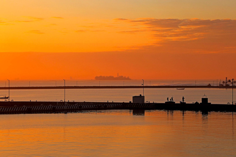 Veracruz: Nighttime Sightseeing Tour by Double-Decker Bus
