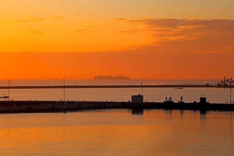 Veracruz: Nighttime Sightseeing Tour by Double-Decker Bus
