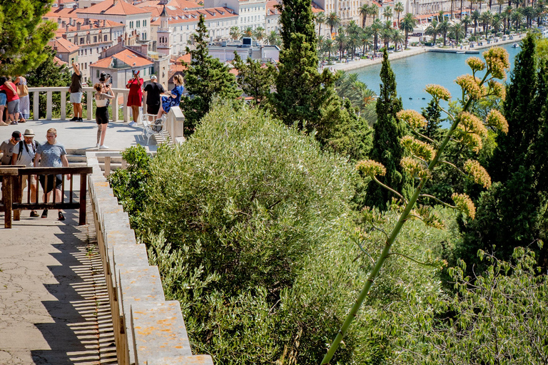 Private photoshoot tour: City of SplitPrivat fotograferingstur: Staden Split